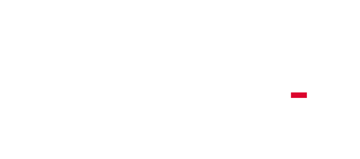 Sportfive Wordmark